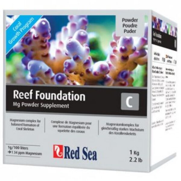 REEF FOUNDATION